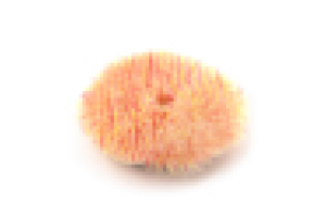 Shine Systems Unicorn Wool Pad - полировальный круг из цветного меха, 130 мм